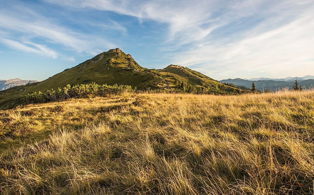 Almgebiet © Flachau Tourismus