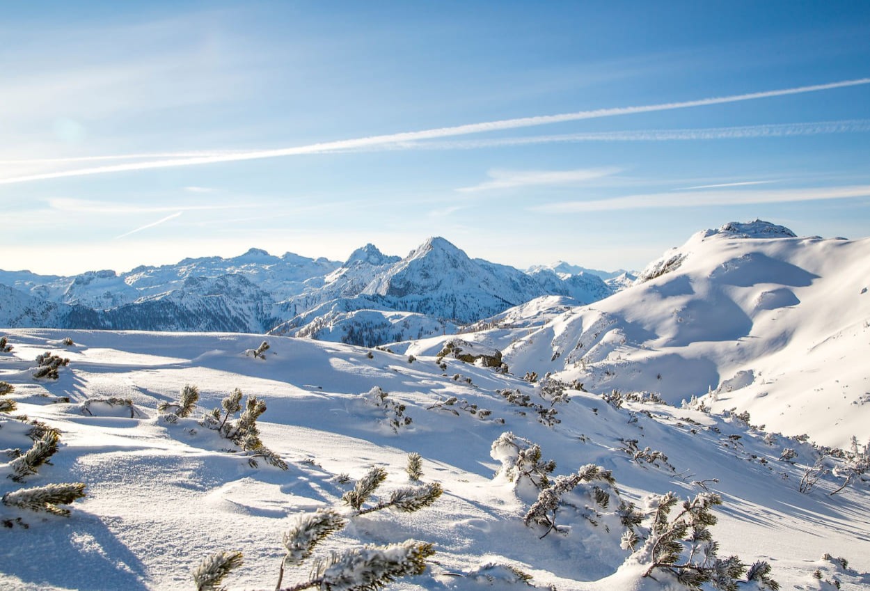 Winterlandschaft © Flachau Tourismus