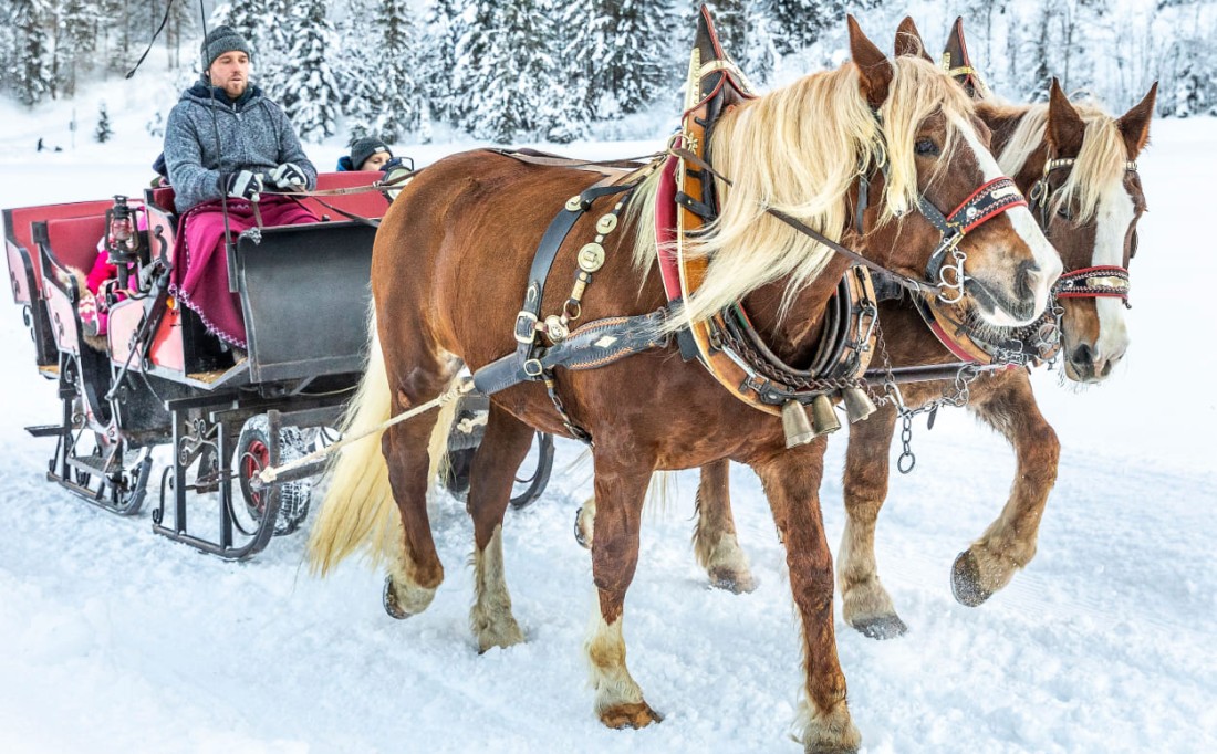 Mit 2 PS durch den Winter © Flachau Tourismus
