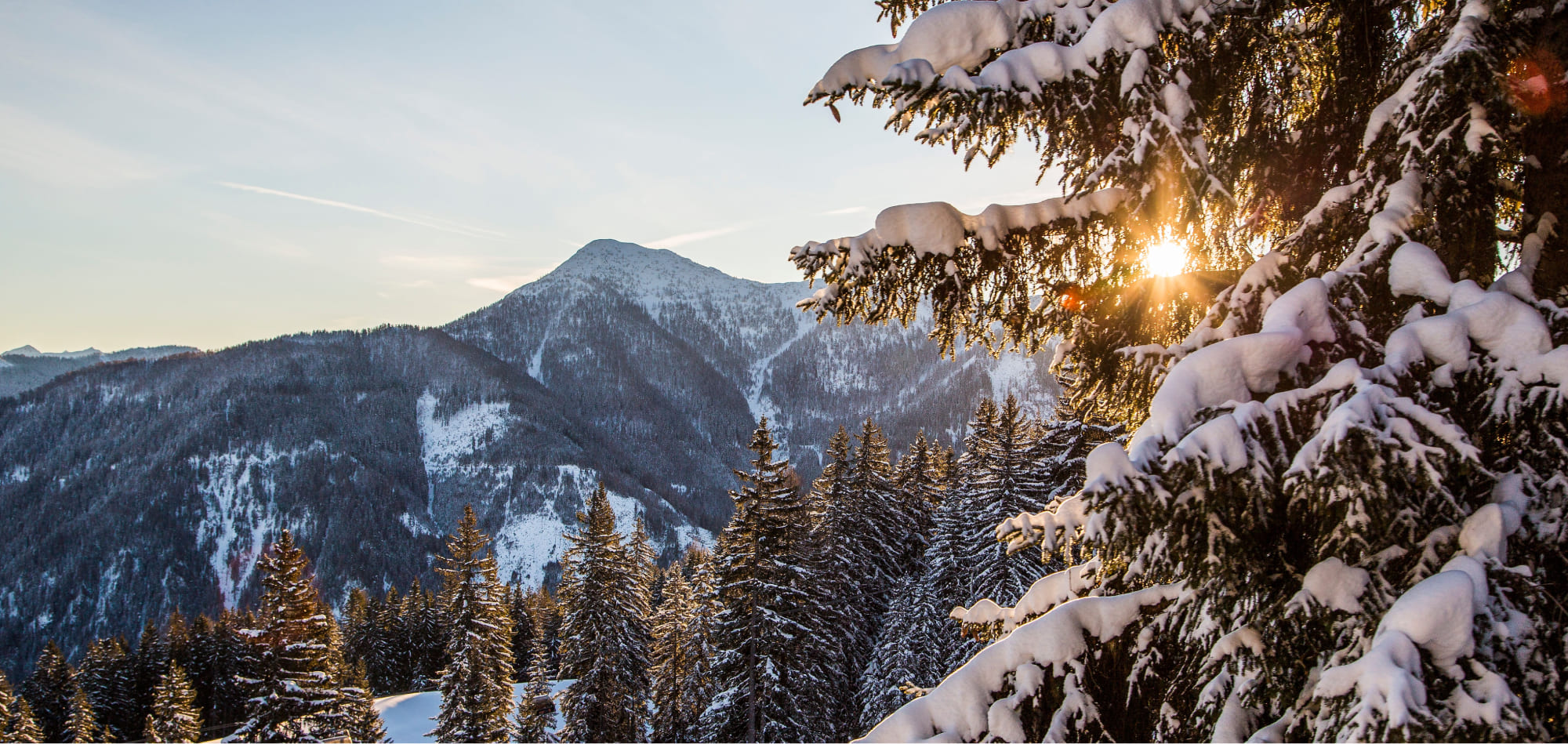 Abendsonne scheint durch Baum auf dem Schnee liegt. Im Hintergrund die Salzburger Berge © Flachau Tourismus