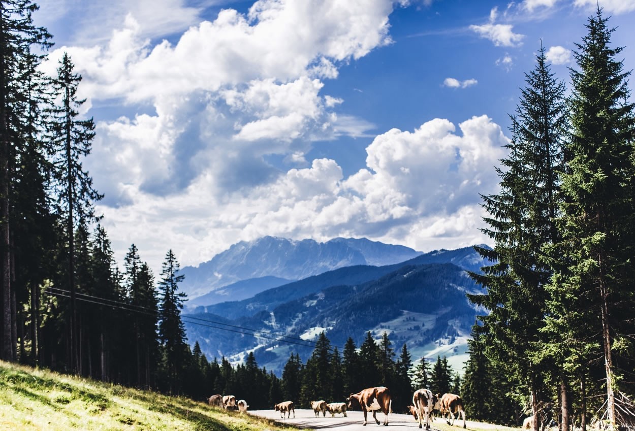 Ein traumhafter Ausblick - nicht?