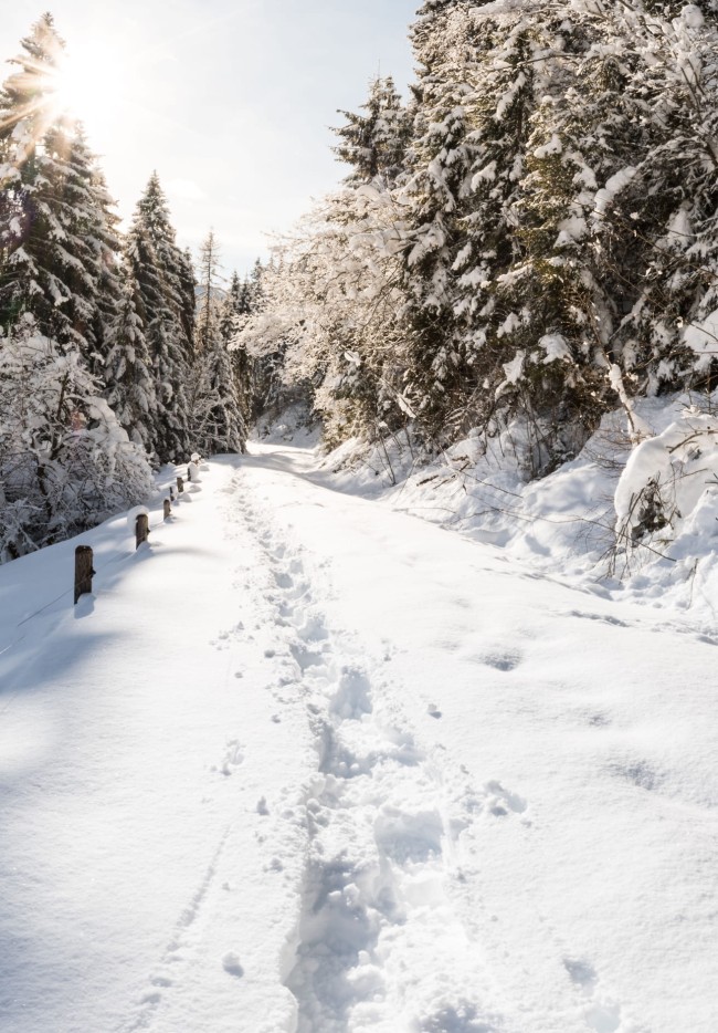 Tief verschneite Winterlandschaft © Flachau Tourismus